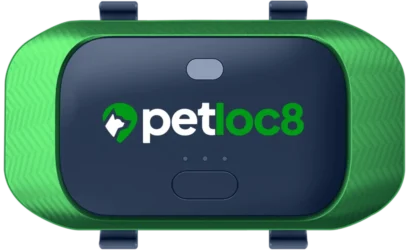 Group_1000002235 Group_1000002235