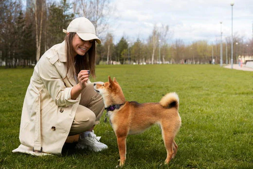 Ever wonder what’s happening in pooch’s noggin? Petloc8's dog psychology fundamentals can help!