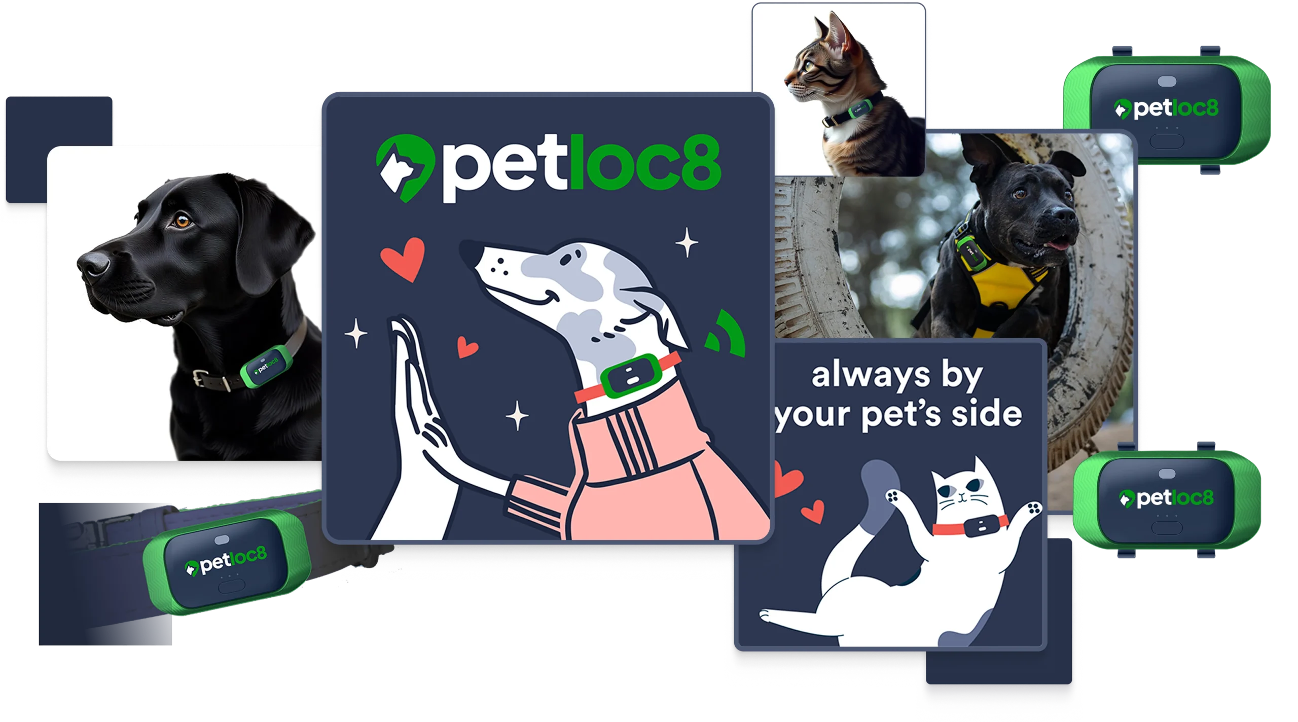 Partner-banner Partner-banner